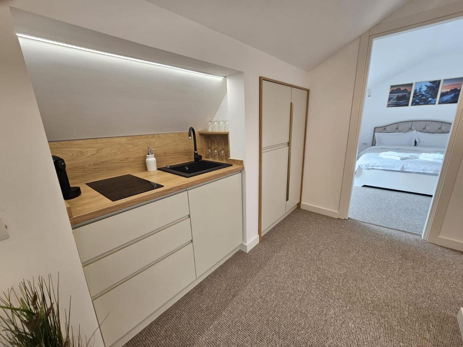 Camere De Inchiriat Igloo プレデアル エクステリア 写真