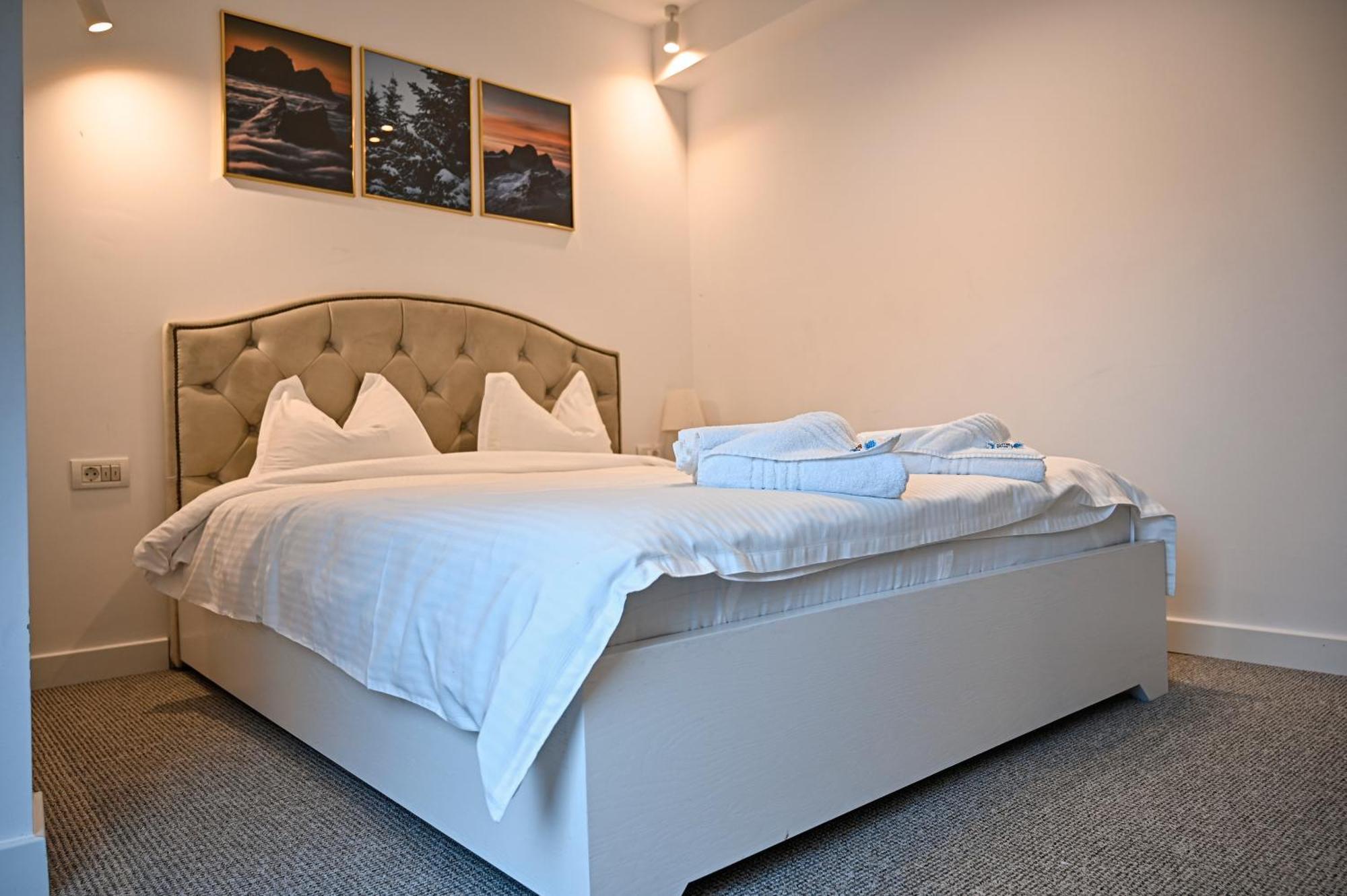 Camere De Inchiriat Igloo プレデアル エクステリア 写真