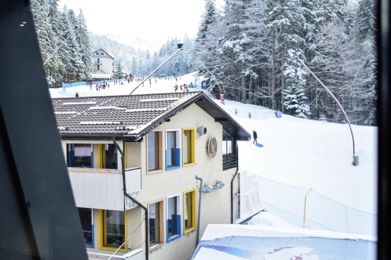 Camere De Inchiriat Igloo プレデアル エクステリア 写真